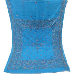 lucknow chikankari chiffon saree-blue