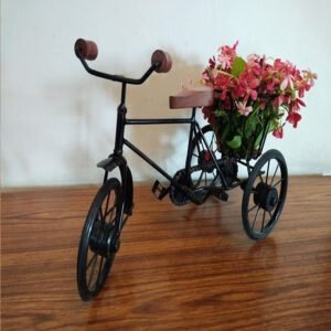 Iron Basket Cycle - Image 2