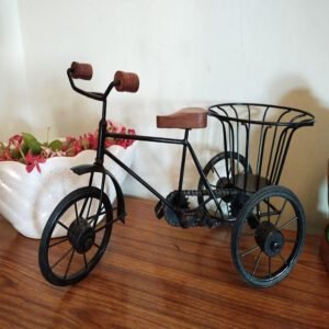 Iron Basket Cycle - Image 3