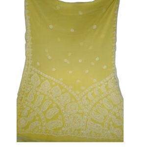 Lucknow Chikankari Georgette Yellow Saree