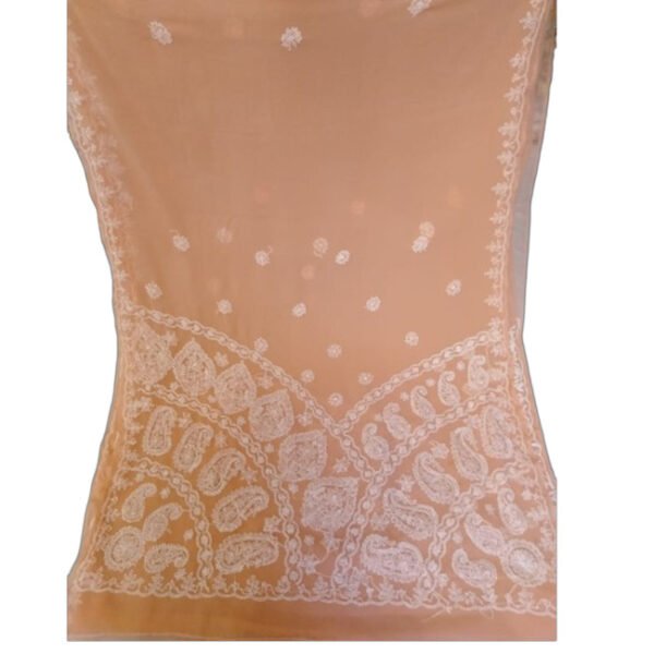 Lucknow Chikankari Georgette Light Orange Saree