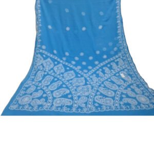 Lucknow Chikankari Georgette Blue Saree