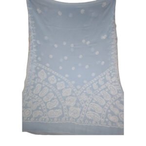 Lucknow Chikankari Georgette Light Blue Saree