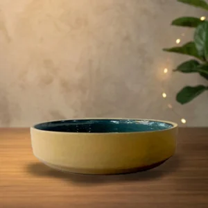 Khurja Pottery Serving Bowl Set of 2