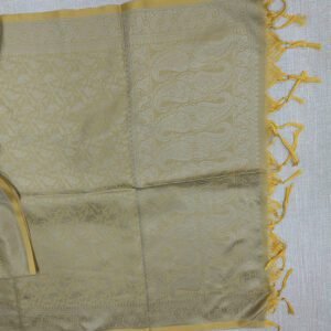 Banarasi Silk Stole Beige with Gold Border