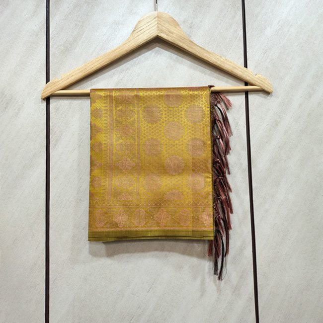 Banarasi Brocade Circular Motifs Stole