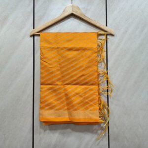 Striped Pattern Banarasi Stole