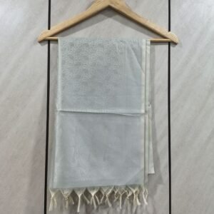 Banarasi Pastel Silk Stole