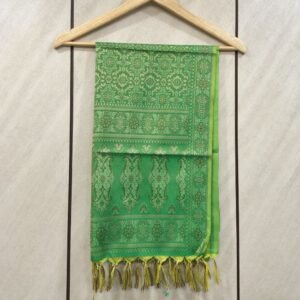 Banarasi Floral and Geometric Motifs Silk Stole