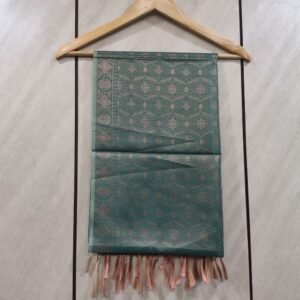 Banarasi Geometric Pattern Teal Silk Stole
