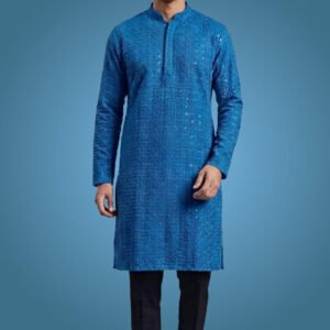 Men's Blue Chikankari Embroidered Kurta